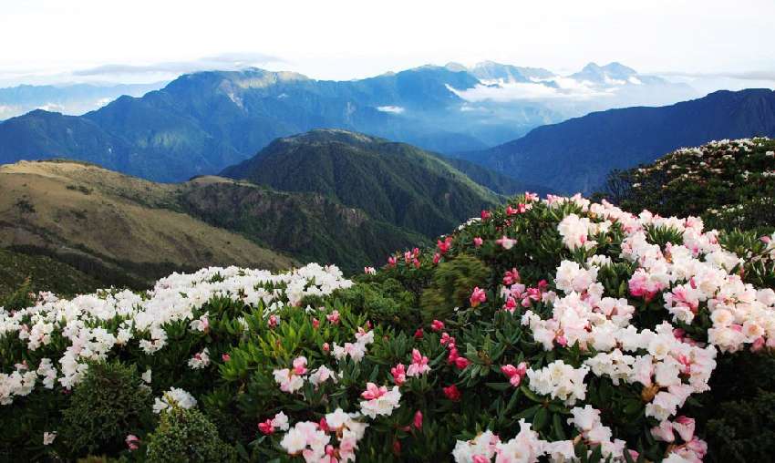 入門百岳：郡大山賞高