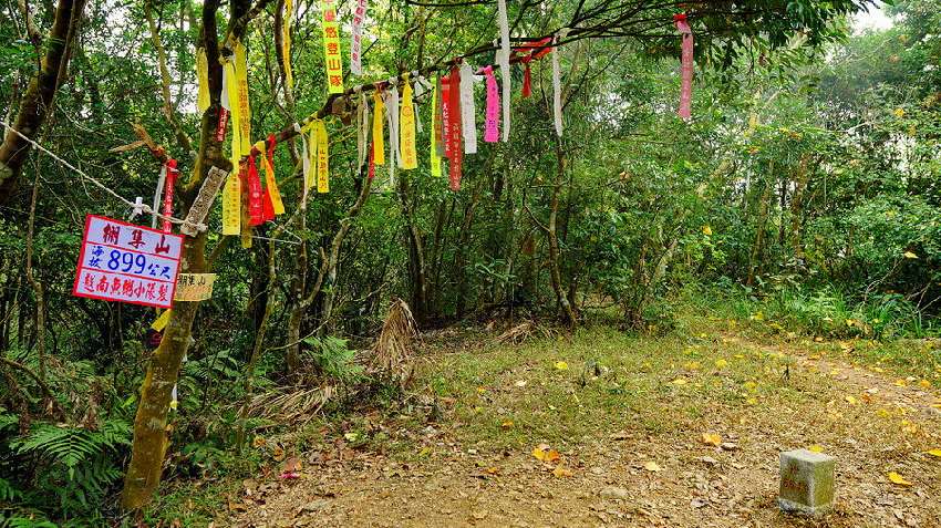 【台中市健康登山協會