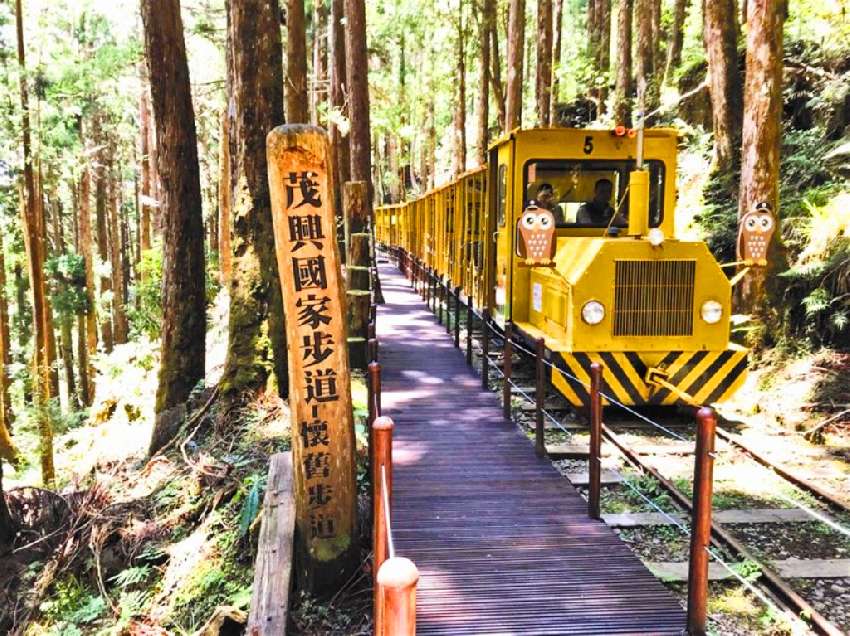 太平山蹦蹦車＋季節限