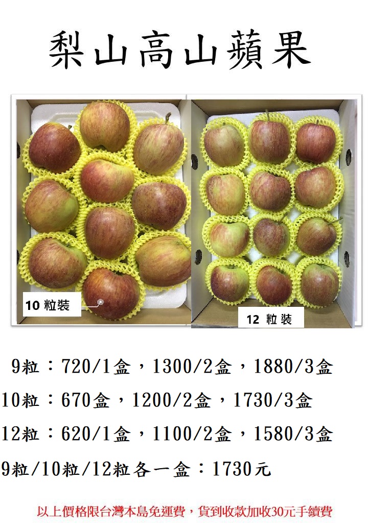 梨山高山蜜蘋果