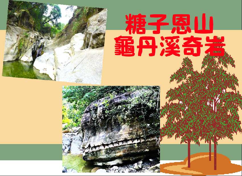 【台中市健康登山協會