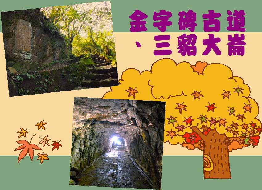 【台中市健康登山協會