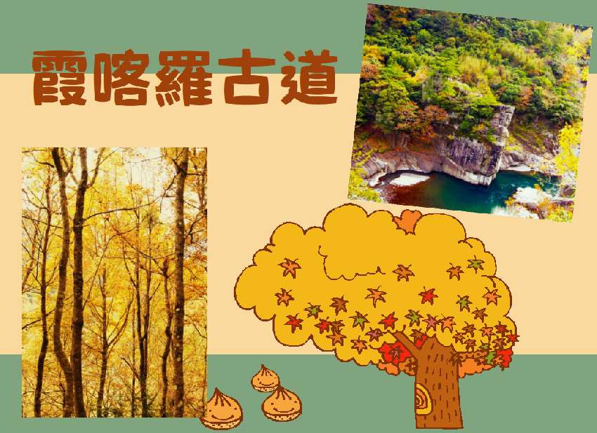 【台中市健康登山協會