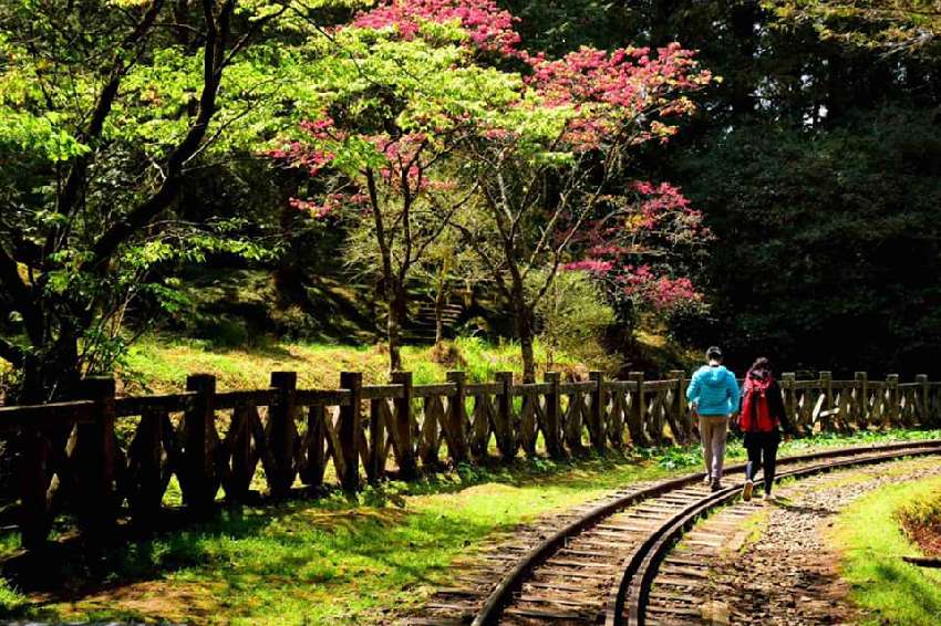 【新竹市健行登山協會