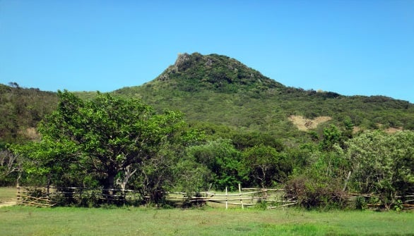 屏警登山會113年大