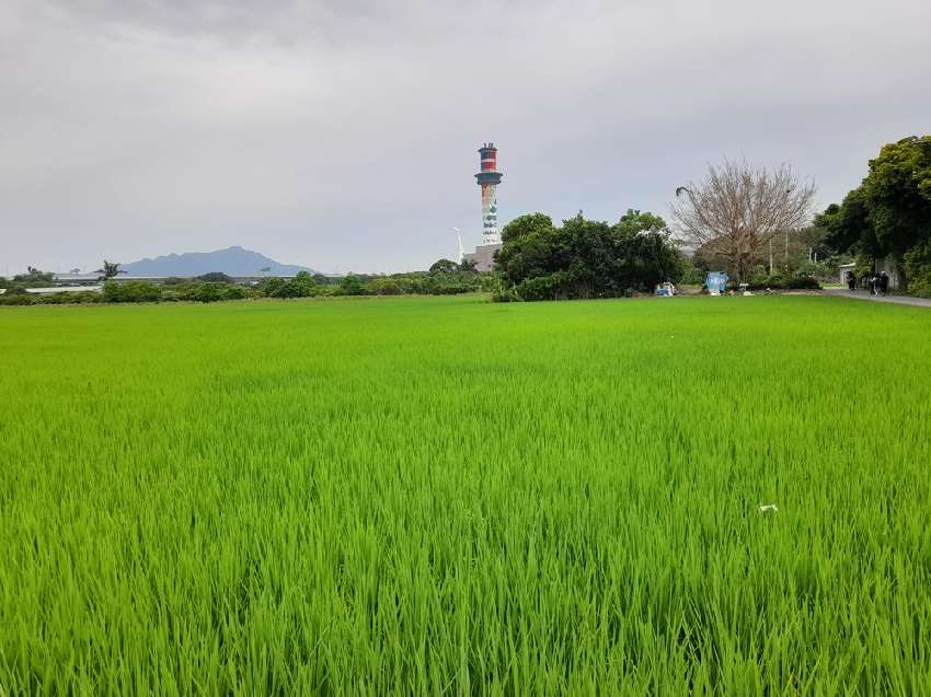 食在好多樣體驗活動暨