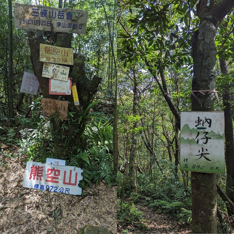 【新竹市健行登山協會