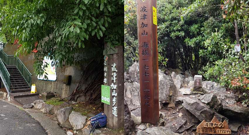 【新竹市健行登山協會