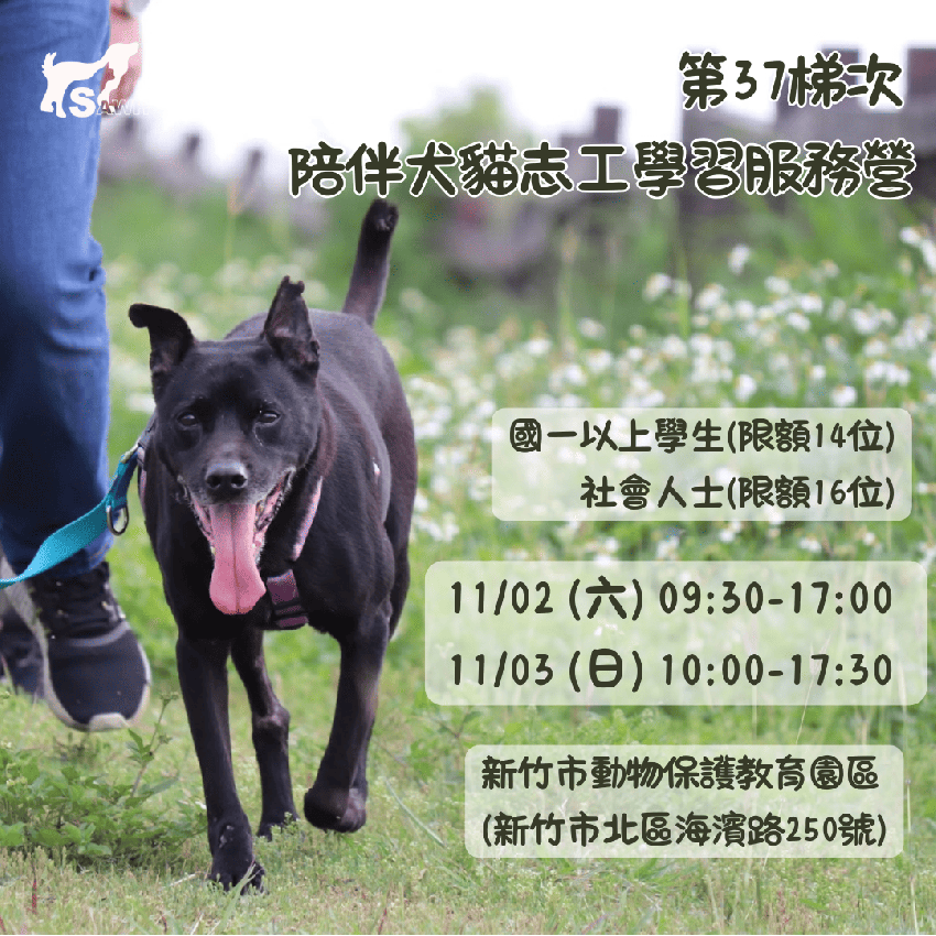 [情報] 11/2, 3 新竹市犬貓志工學習服務營