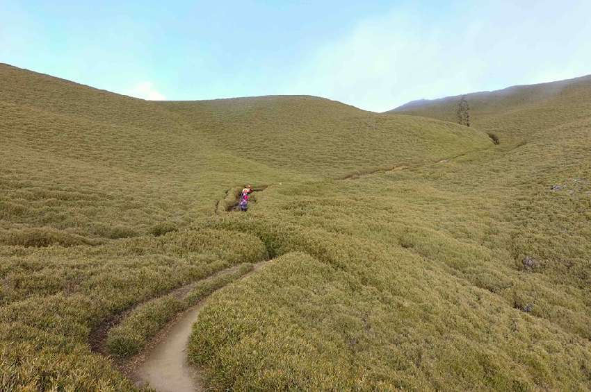 【新竹市健行登山協會