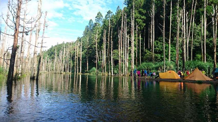 【新竹市健行登山協會