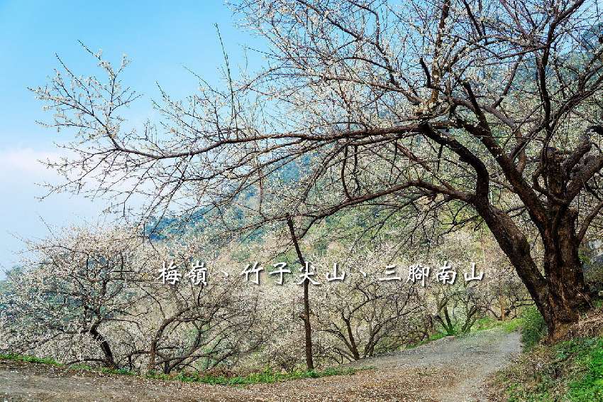 【台中市健康登山協會