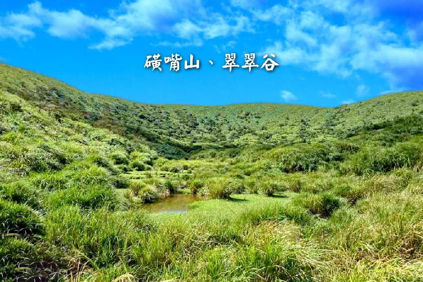 【台中市健康登山協會