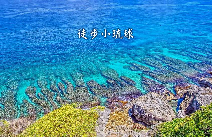 【台中市健康登山協會