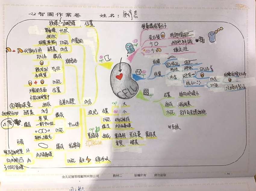 2025心智圖記憶課