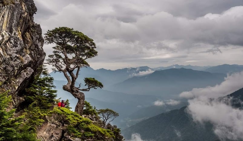 屏警登山會114年武